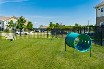 Two dog parks